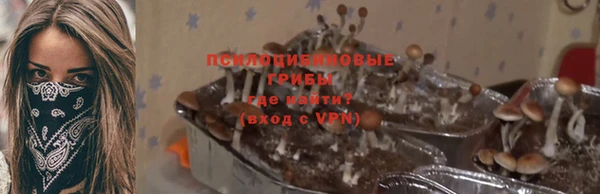 спайс Алексеевка