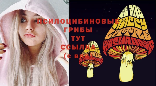 apvp Алексин
