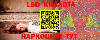 ПСИЛОЦИБИНОВЫЕ ГРИБЫ Кулебаки