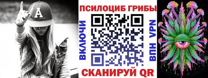 даркнет сайт  Карачаевск  Галлюциногенные грибы мухоморы 