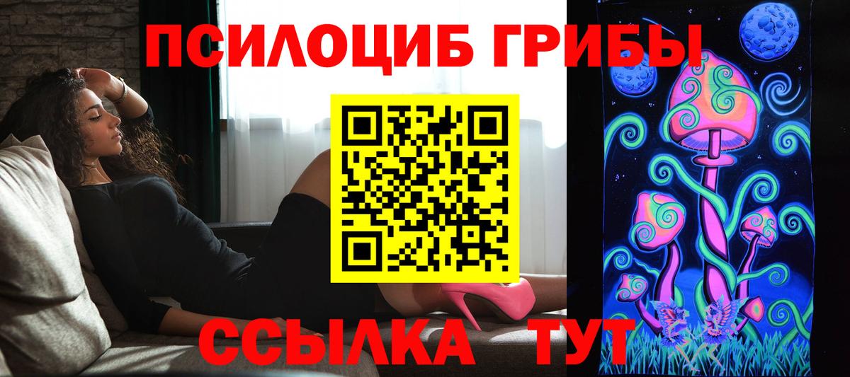 Галлюциногенные грибы прущие грибы  Вход с VPN  Псилоцибиновые грибы GOLDEN TEACHER  Карачаевск 