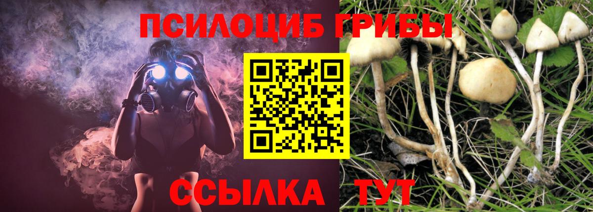 Псилоцибиновые грибы MAGIC MUSHROOMS Карачаевск